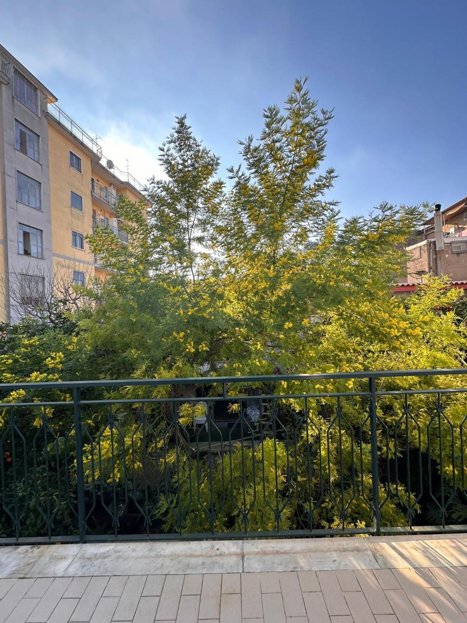 Hotel Il Campanile Scafati Esterno foto